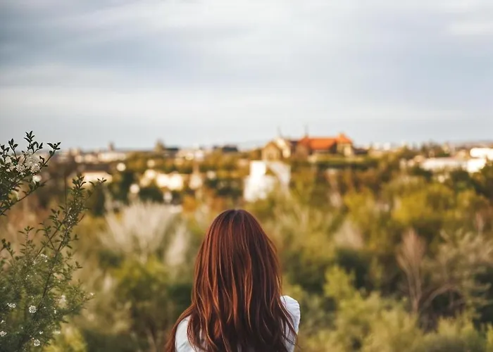 Cracow Route #2 - Old Town Krakkó